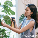 Tropical Plant Care