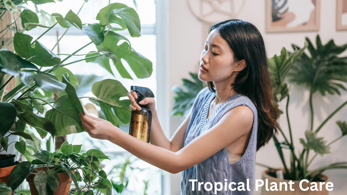 Tropical Plant Care